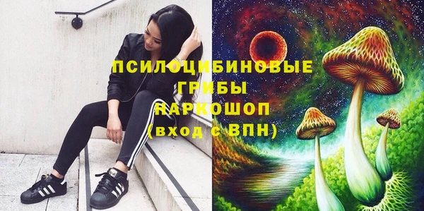 скорость Краснослободск