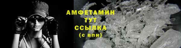 прущие грибы Янаул
