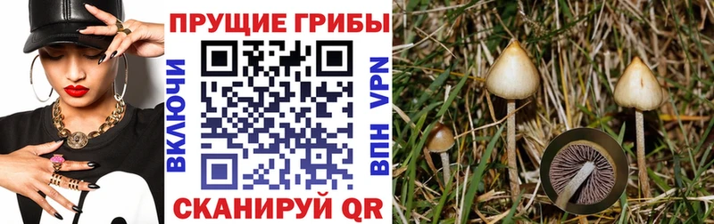 Галлюциногенные грибы Magic Shrooms  Пласт 